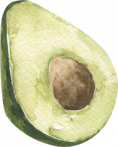 Bild von einer Avocado
