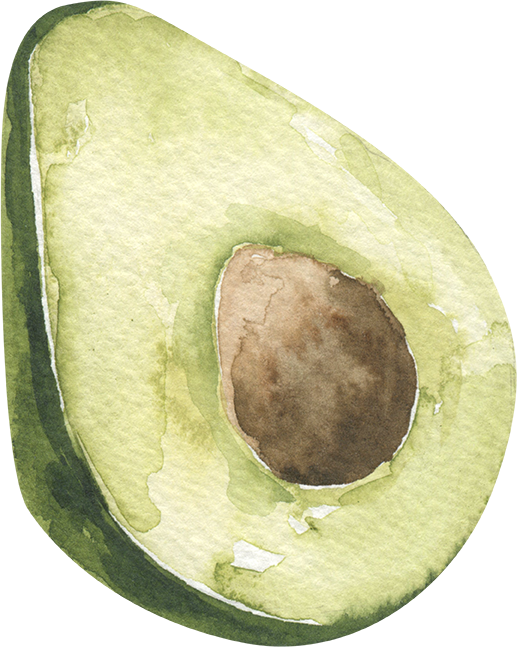 Bild von einer Avocado