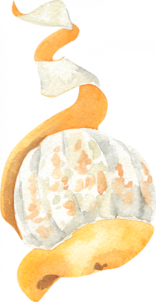Bild einer geschälten Orange