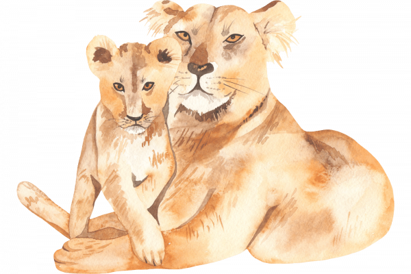 Bild Löwenmama und Löwenbaby vegane Ernährungsberatung